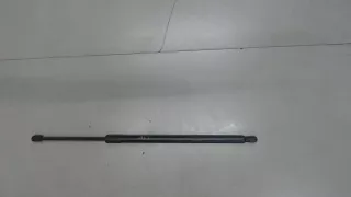 LJ6Z78406A10A,LJ6Z78406A11A Амортизатор багажника Ford Escape 4 Арт 7546795