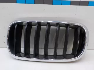 51137316061 Решетка радиатора BMW X5 F15 Арт 613819, вид 1