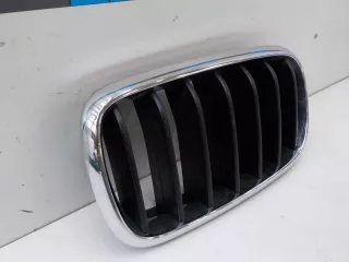 51137316061 Решетка радиатора BMW X5 F15 Арт 613819, вид 2