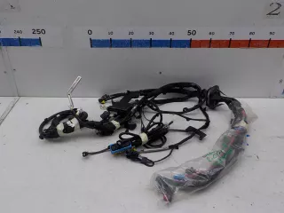 403882422R Проводка моторного отсека Renault Scenic 2 Арт 445357, вид 1