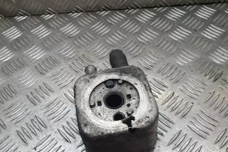 028117021 , art936565 Радиатор масляный Volkswagen Sharan 1 restailing Арт 936565, вид 1