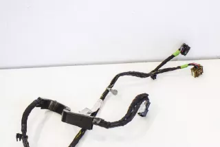 1063406-00-F , art676034 Проводка двери Tesla model X Арт 676034, вид 2