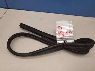 51727341647 Уплотнитель двери задней левой BMW 5 G30/G31 Арт ZAP262778