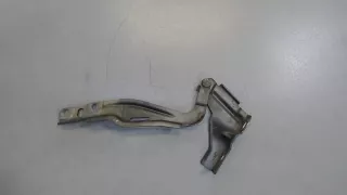 51817777 Петля капота правая Fiat Bravo 2 Арт 7627552, вид 1