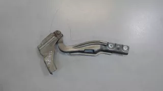 51817777 Петля капота правая Fiat Bravo 2 Арт 7627552, вид 2