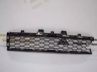 51118069208 Решетка бампера BMW X5 G05  Арт TP26229, вид 1