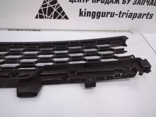 51118069208 Решетка бампера BMW X5 G05  Арт TP26229, вид 5