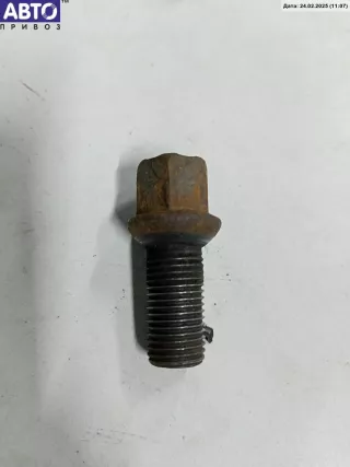 8D0601139D Болт колесный (гайка колесная) Volkswagen Passat B5 Арт 54058522, вид 1