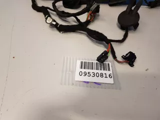8T8971687N Жгут проводов задней левой двери Audi A5 (S5,RS5) 1 Арт Z177342, вид 3
