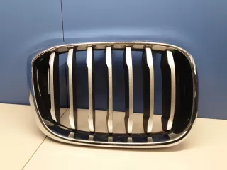 51137440854 Решетка радиатора правая BMW X4 G02 Арт Z231833, вид 1