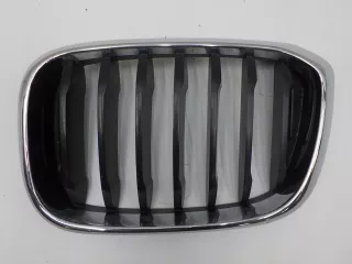 51137478669  Решетка радиатора BMW X3 G01 Арт BIT645812, вид 1