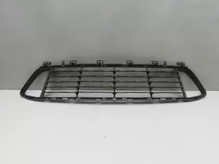  Решетка в бампер центральная BMW X1 F48 Арт SM136738, вид 1