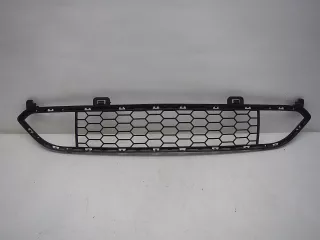  Решетка в бампер центральная BMW X5 F15 Арт SM10051123, вид 1