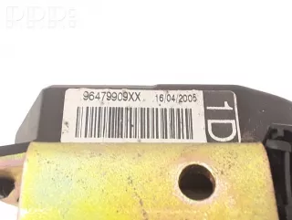 e2040069, 96479909xx, 96479909 , artVEI61362 Ремень безопасности Citroen C4 1 Арт VEI61362, вид 2