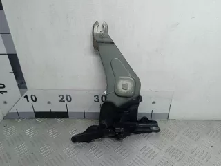 720862701 Петля капота левая BMW X5 E70 Арт 00167479, вид 3