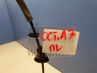 3T0837017E Трос открывания двери Skoda Octavia A7 Арт ZAP278388, вид 2