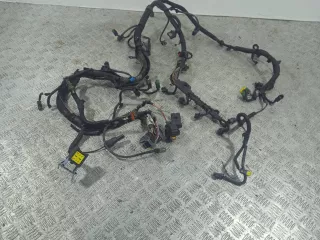 9663177980,9663177980C Проводка двигателя Citroen C4 Picasso 1 1.6л HDi Арт 46023043186, вид 2