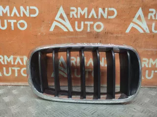 51137294486, 7294486 решетка радиатора BMW X5 F15 Арт 221477PM, вид 1