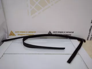 51337428671 Уплотнитель стекла двери BMW X5 G05  Арт TP36948, вид 1