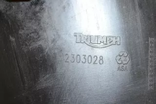 2303028 , moto572443 Декоративная крышка двигателя Triumph Street Арт moto572443, вид 6