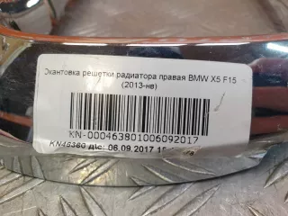 51137294486, 7309775 окантовка решетки радиатора BMW X5 F15 Арт 223966PM, вид 10