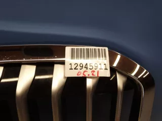 51138745730 Решетка радиатора BMW X7 g07 Арт Z204277, вид 6