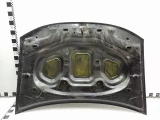 651000987R Капот Renault Duster 1 Арт A990450T, вид 3