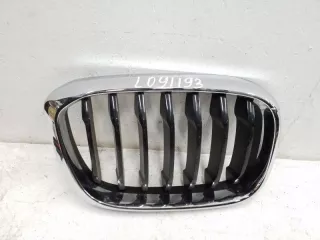 51137397466 Решетка радиатора BMW X3 G01 Арт AL091193, вид 1