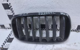 51712334710 Решетка радиатора BMW X5 F15 Арт A999025L, вид 1