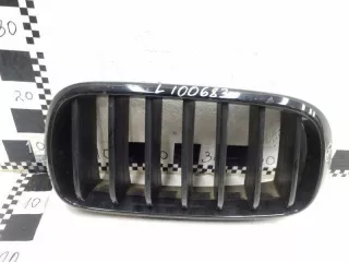 51712334710 Решетка радиатора BMW X5 F15 Арт AL100683, вид 1