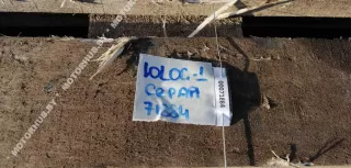 Панель передняя салона (торпедо) Dacia Logan 1 Арт 00071884, вид 2