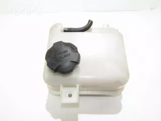 254302s000 , artRAM1216084 Бачок расширительный Hyundai i40  Арт RAM1216084, вид 1