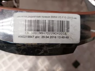 51117303108, 51117309775 окантовка решетки радиатора BMW X5 F15 Арт 221593PM, вид 8