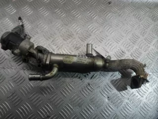 4R8Q9Y493AN Радиатор системы EGR Jaguar S-Type Арт 00160014, вид 1