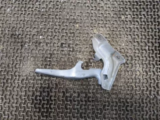 15884431 Петля капота правая Cadillac SRX 2 Арт 8134681, вид 1