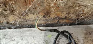 6960000 Проводка бампера переднего BMW X5 E53 Арт 00075245, вид 4