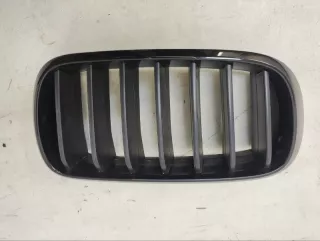 7316076 Решетка радиатора BMW X5 F15 Арт lz193248, вид 1