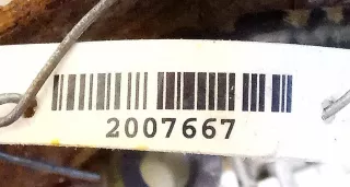 HA101961-6570,DENSO насос топливный Suzuki Alto HA12 Арт 2007667, вид 6