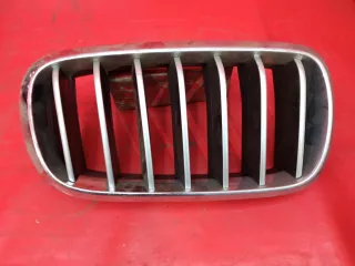 7316076 решетка радиатора BMW X5 F15 Арт MB36294, вид 1