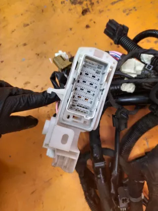 24012hz09b проводка двигателя Nissan Juke 1 Арт AR101482, вид 4