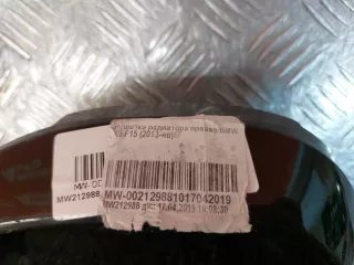 51137294486, 7316076 решетка радиатора BMW X5 F15 Арт AR223615, вид 9