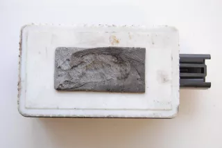 31252988 , art319692 Прочая запчасть Volvo V70 3 Арт 319692, вид 1