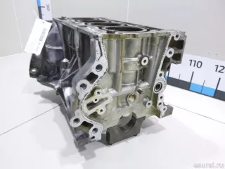  Блок двигателя Renault Megane 3 Арт E48207965, вид 3