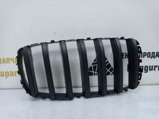 7316058 Решетка радиатора BMW X5 F15 Арт TP55336, вид 1
