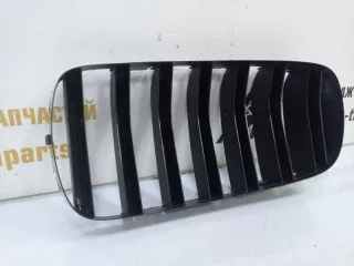 7316058 Решетка радиатора BMW X5 F15 Арт TP55336, вид 11