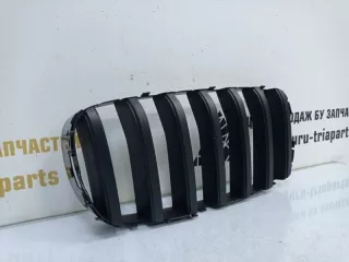7316058 Решетка радиатора BMW X5 F15 Арт TP55336, вид 2