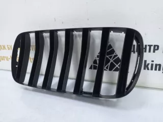 7316058 Решетка радиатора BMW X5 F15 Арт TP55336, вид 10