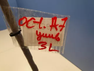 3T0837017E Трос открывания двери Skoda Octavia A7 Арт Z304706, вид 3