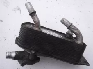 17217551647 Теплообменник BMW 1 E81/E82/E87/E88 Арт 308445
