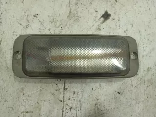 453754009 Плафон салонный Iveco Daily 4 Арт 5789815